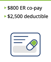 $800 E R co-pay. $2,500 deductible. Envelope icon.