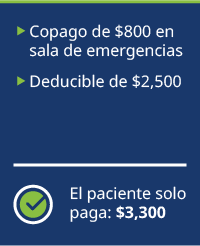 ER co-pay: $800. Deductible: $2,500. Patient only pays: $3,300.